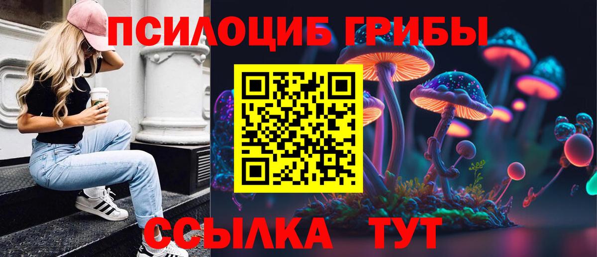 Заинск  Псилоцибиновые грибы MAGIC MUSHROOMS  Вход с VPN 