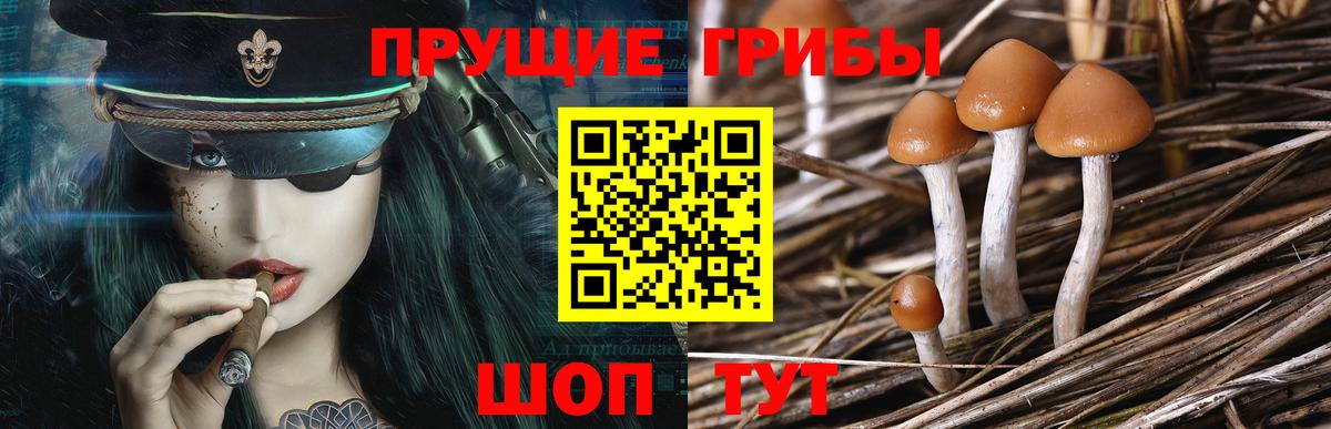 Псилоцибиновые грибы GOLDEN TEACHER Заинск